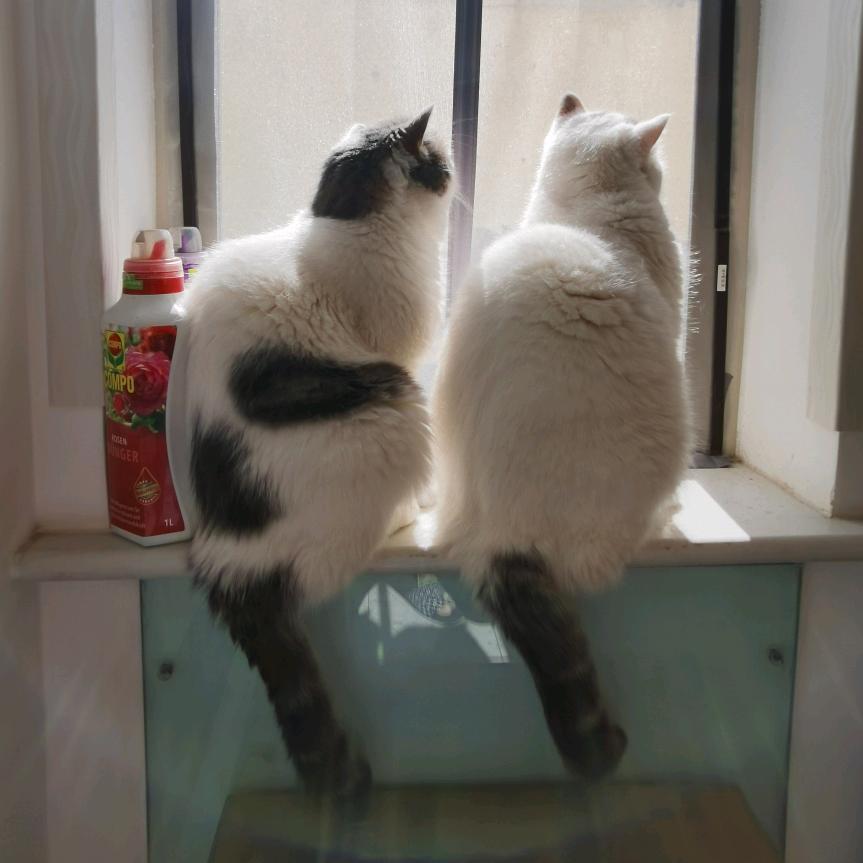 小满