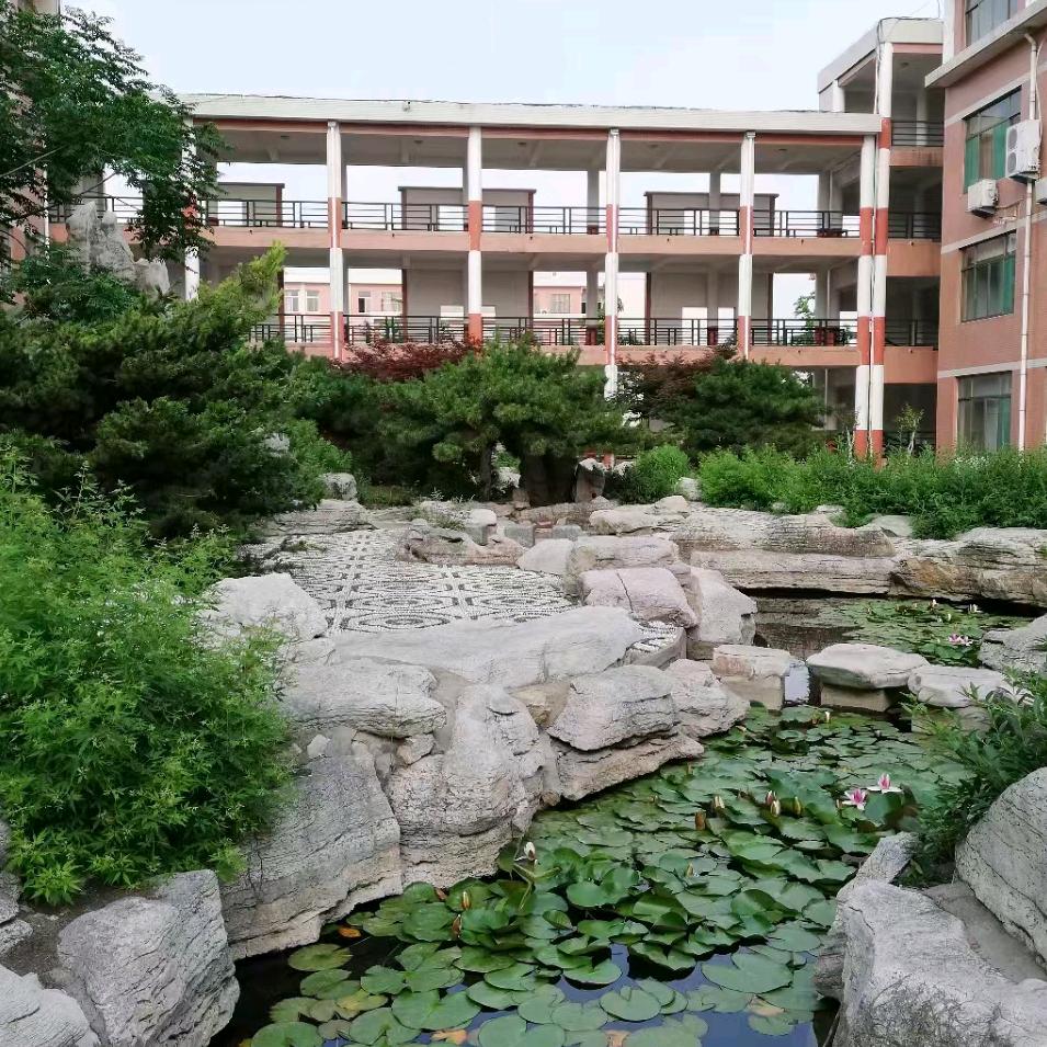 泰安药学院公办升学就业张老师