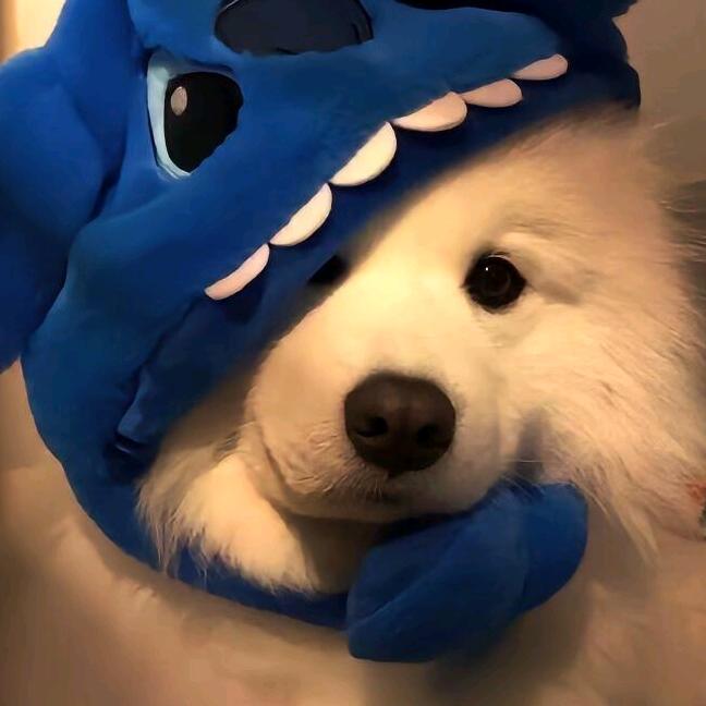 池魚