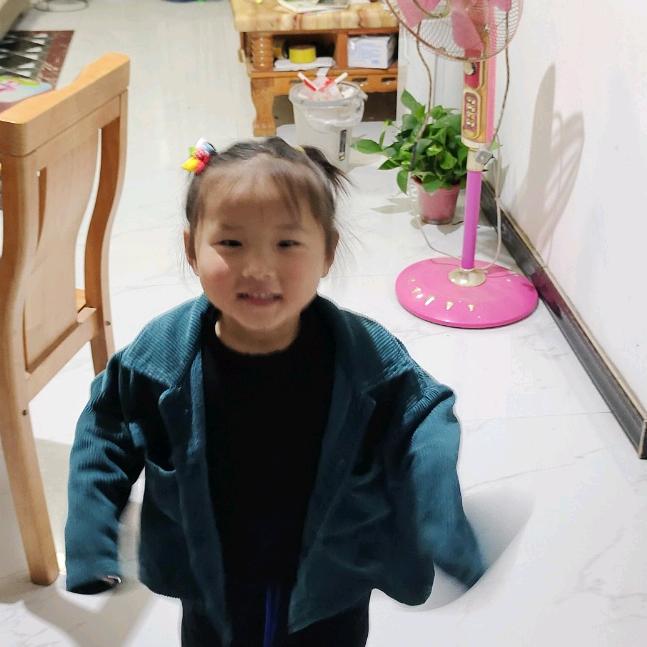 王楼乡海信专营店-鑫鸿家电