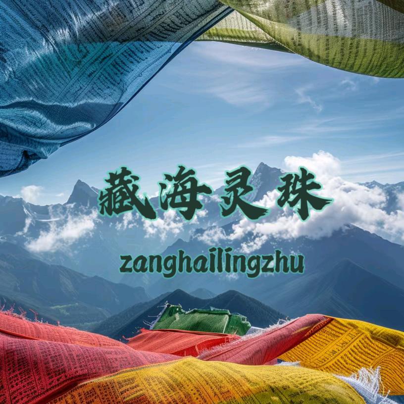 藏海灵珠
