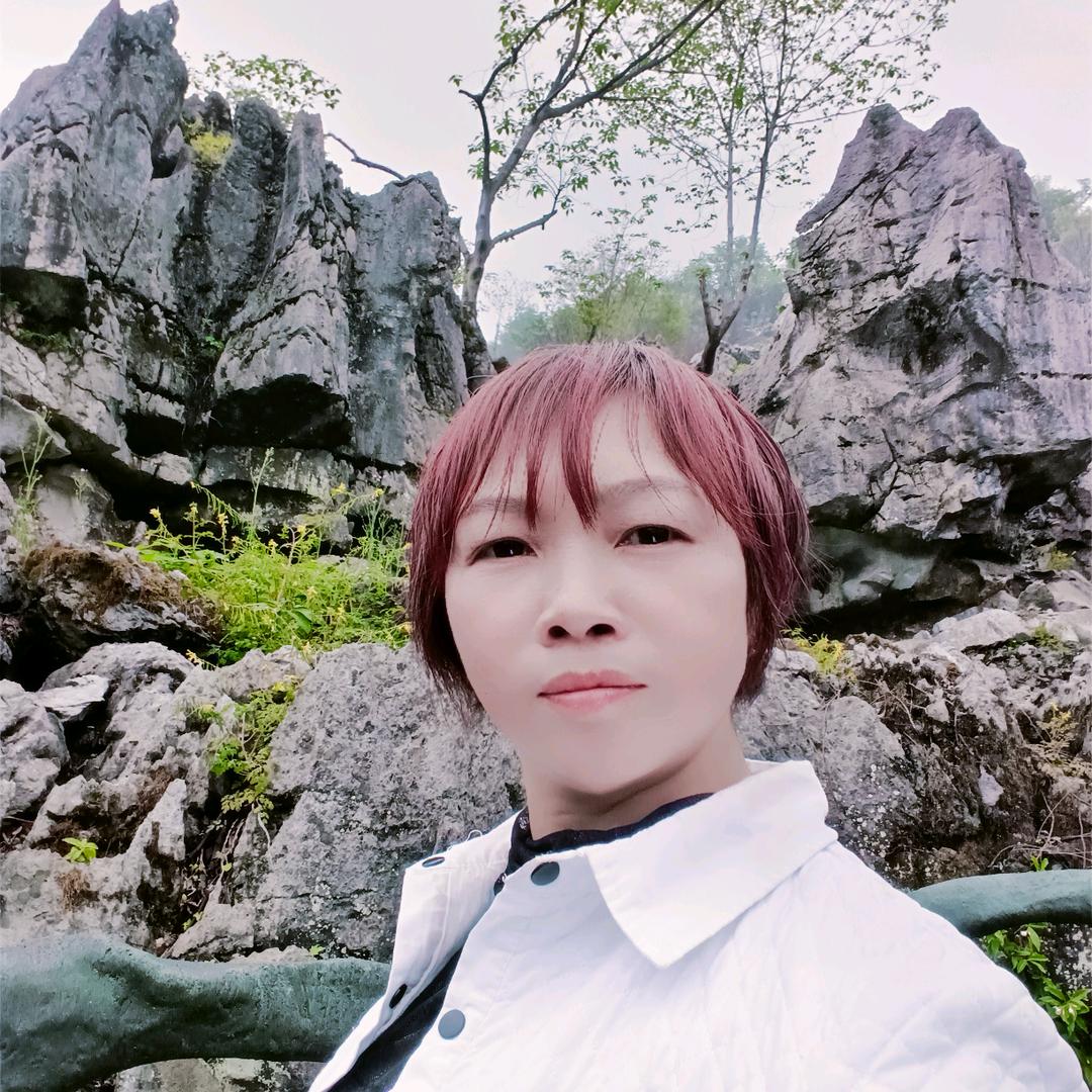 松姐中午11：05首播