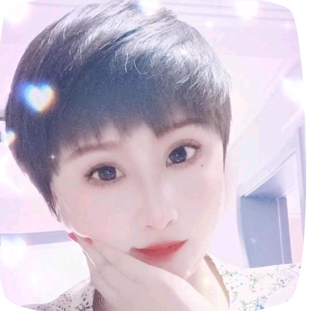 金燕子（遇见小面）