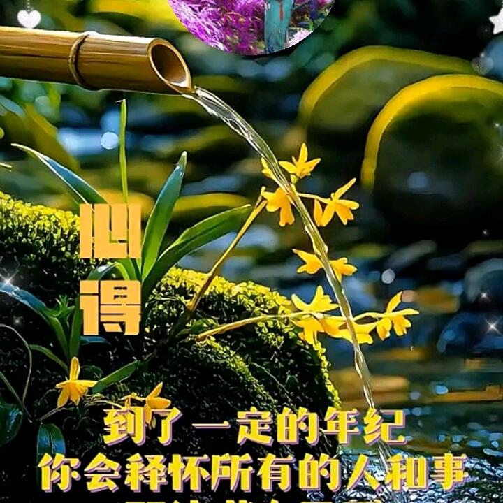 申财奕奕