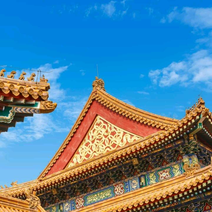 玉兰花3