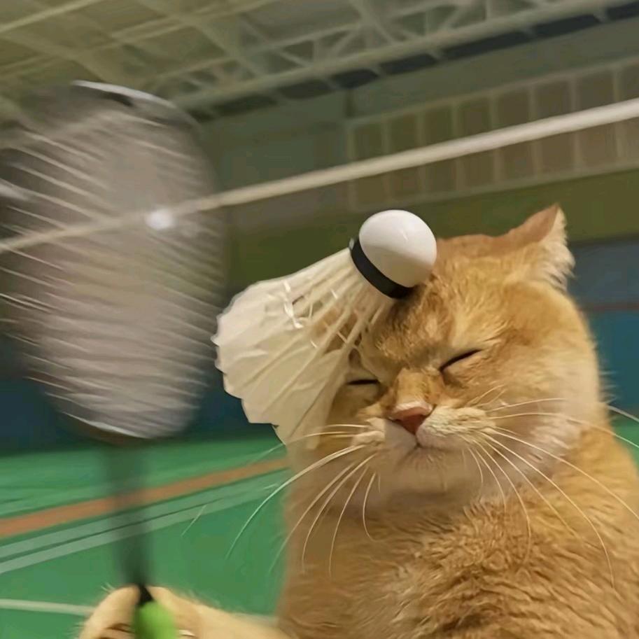 九月二十八与她