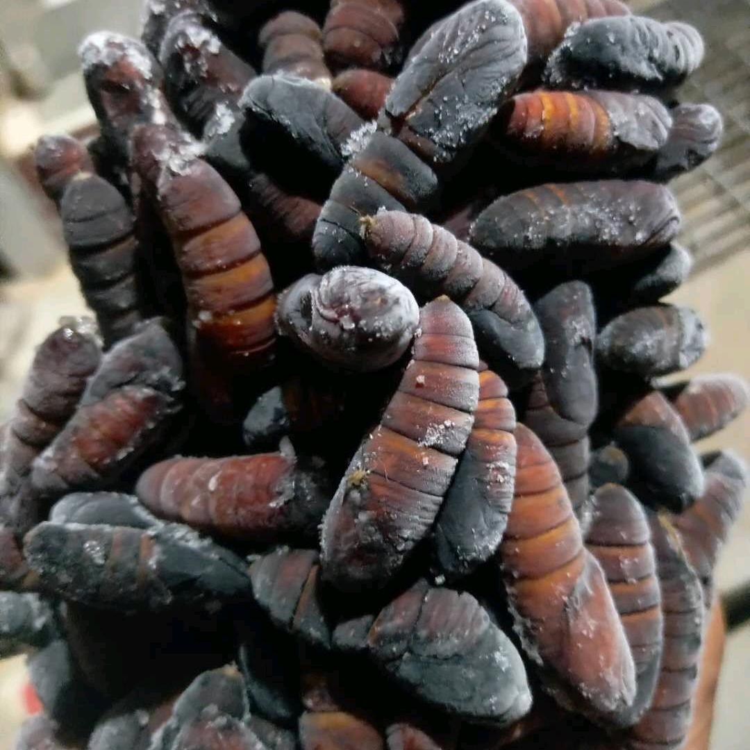 威海精品山货（谭柿子小号）