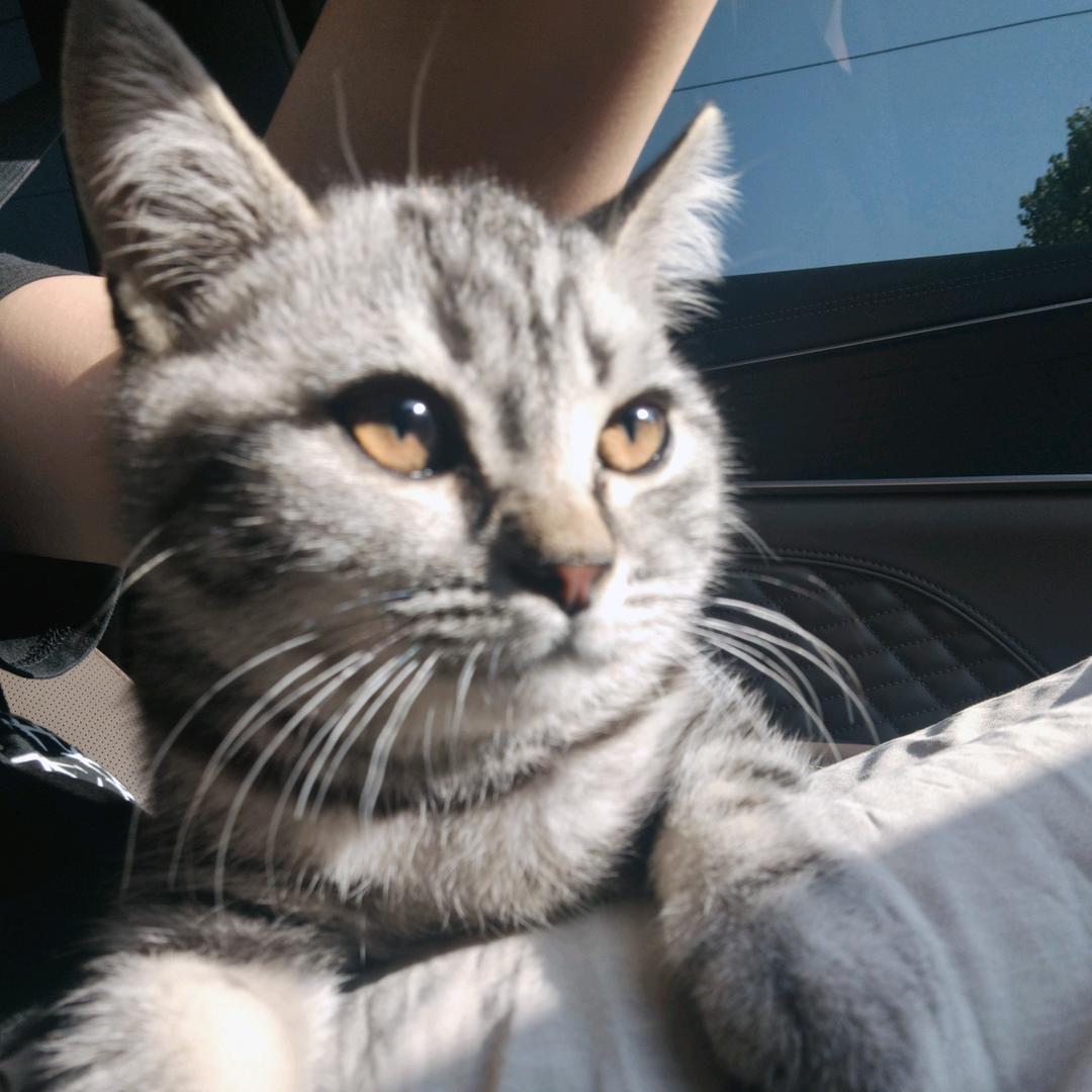 家穷人丑一米四九