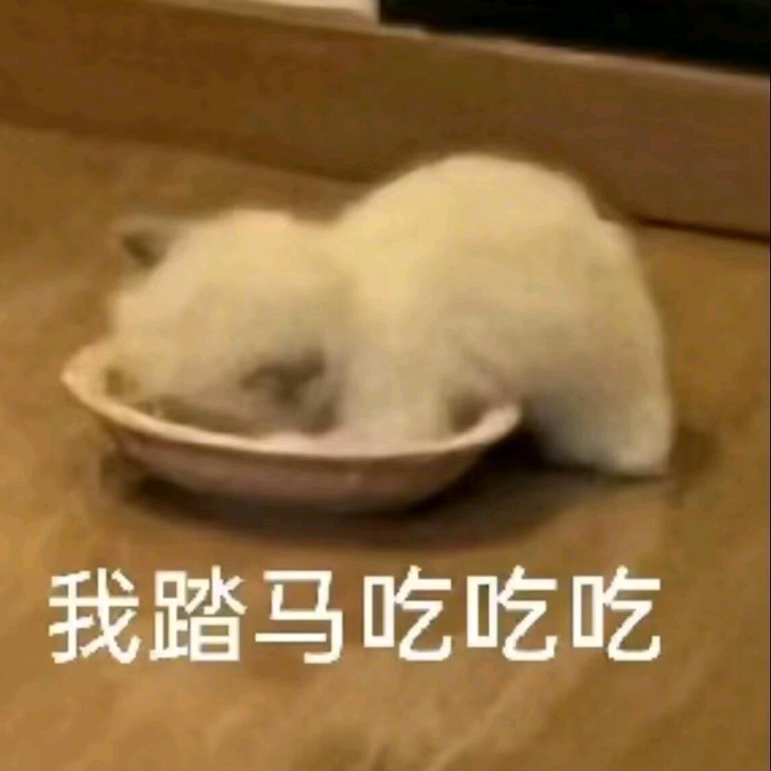 换元今天玩点啥