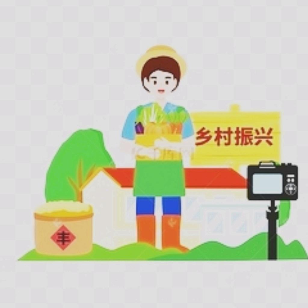 网农TVT先生