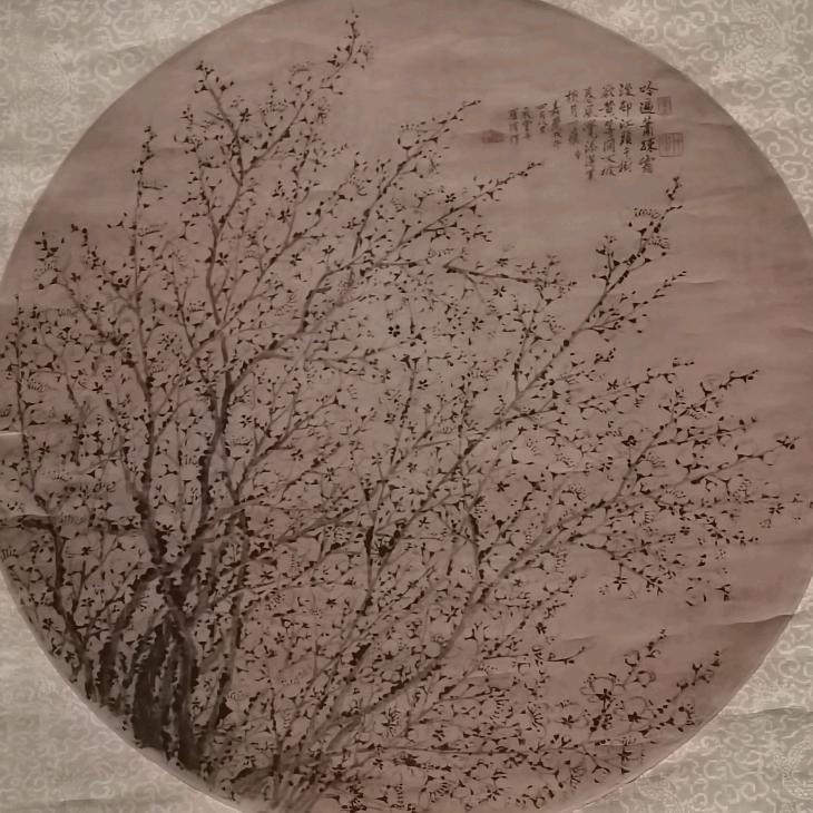 冬日的阳光