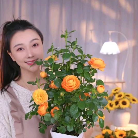 丹丹鲜花园艺
