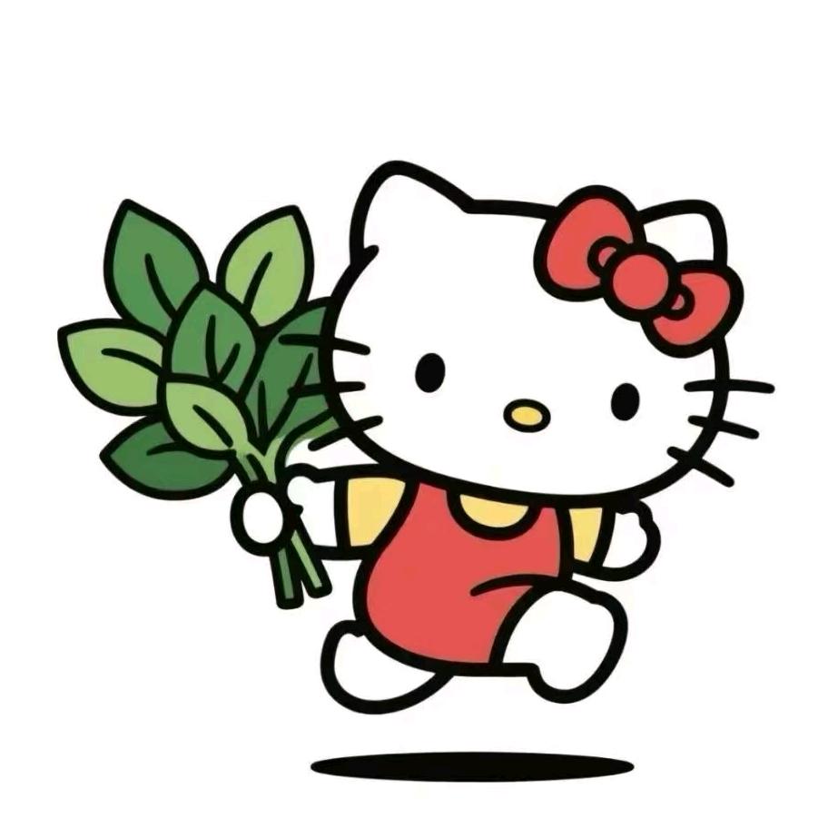 扶老奶奶闯红灯