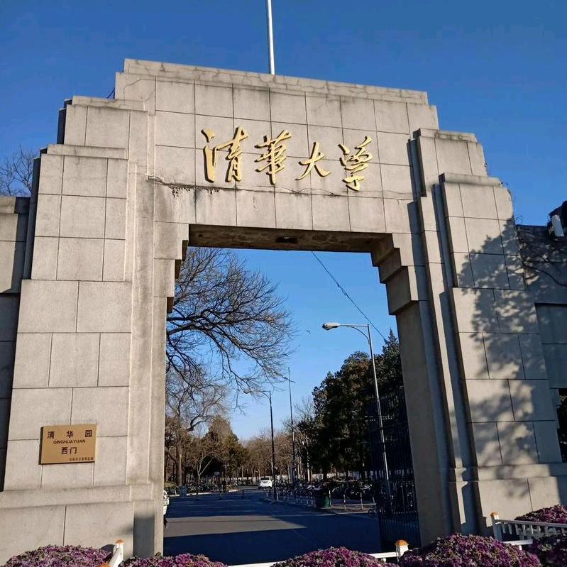 沈老师选科规划（九石）
