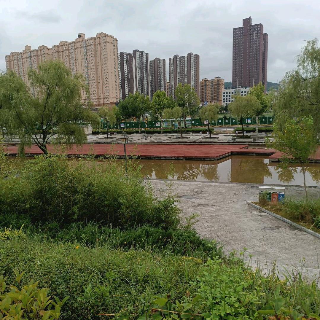 流星雨