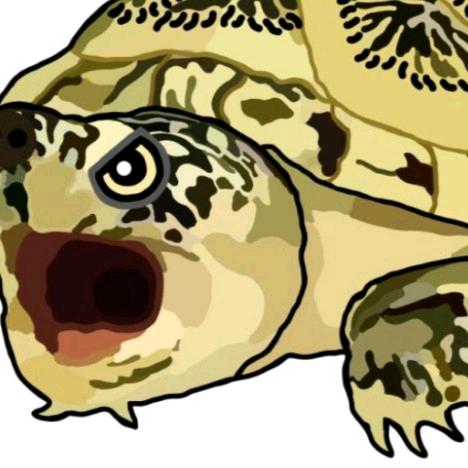 金宠之家