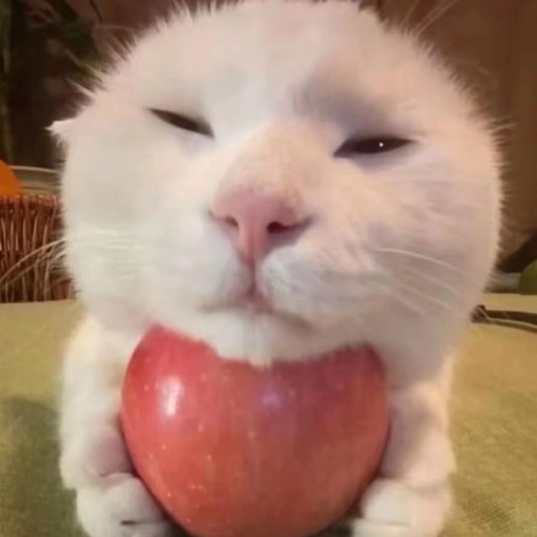 崤崤