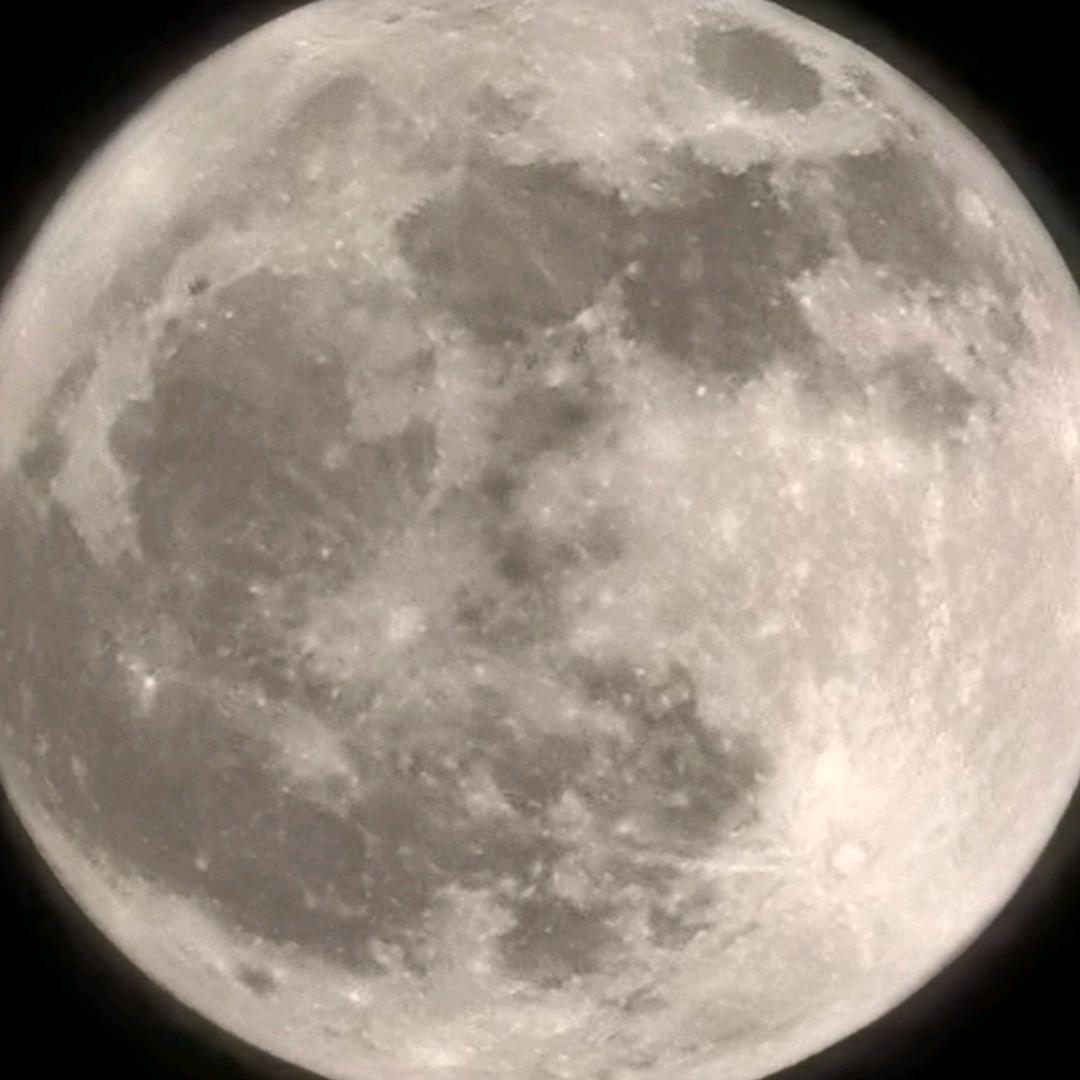 关于我不知道取什么名字导致一宿没睡那件事