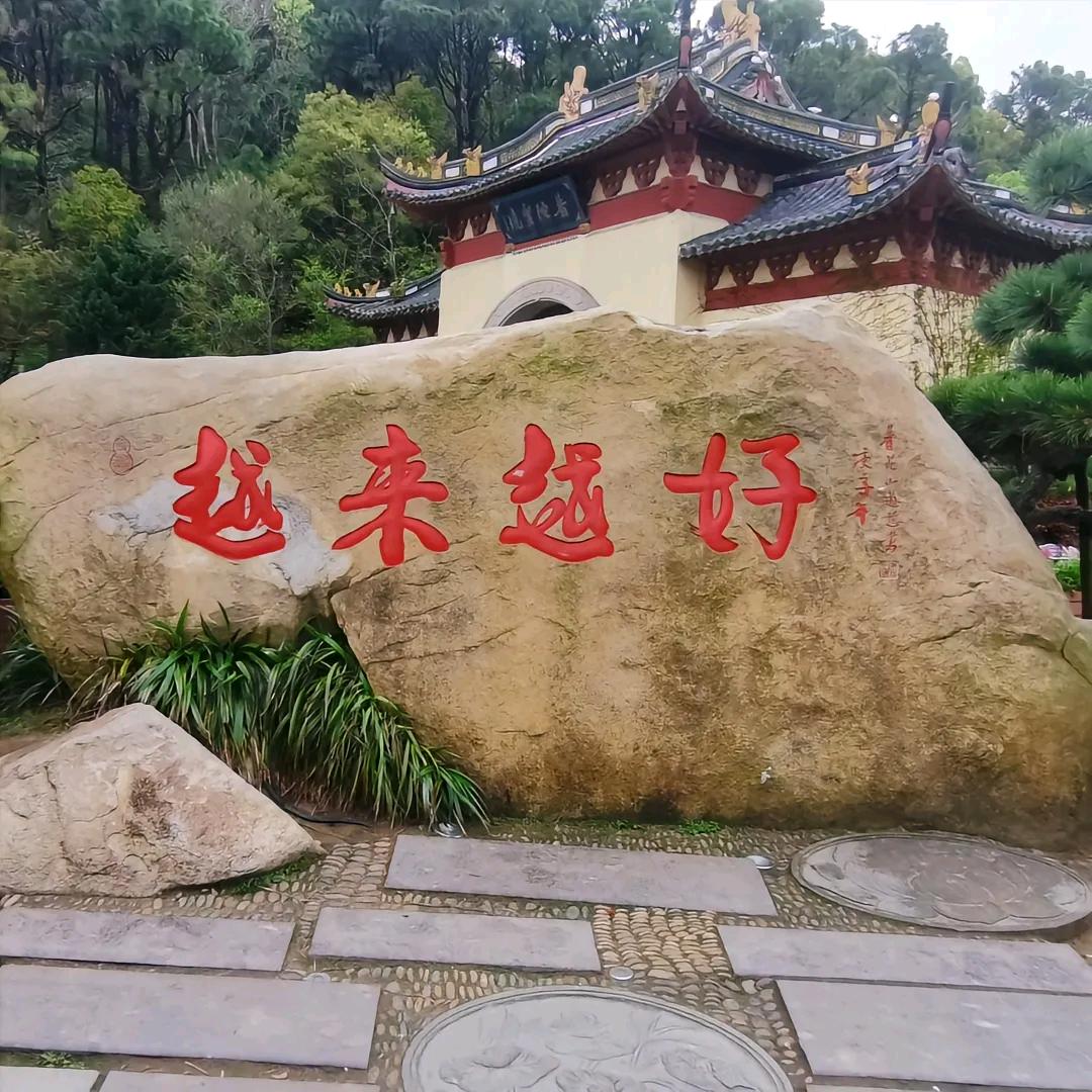 越来越好😊