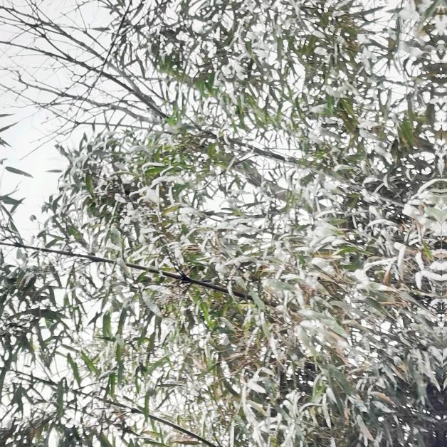 知可遇，而己必修