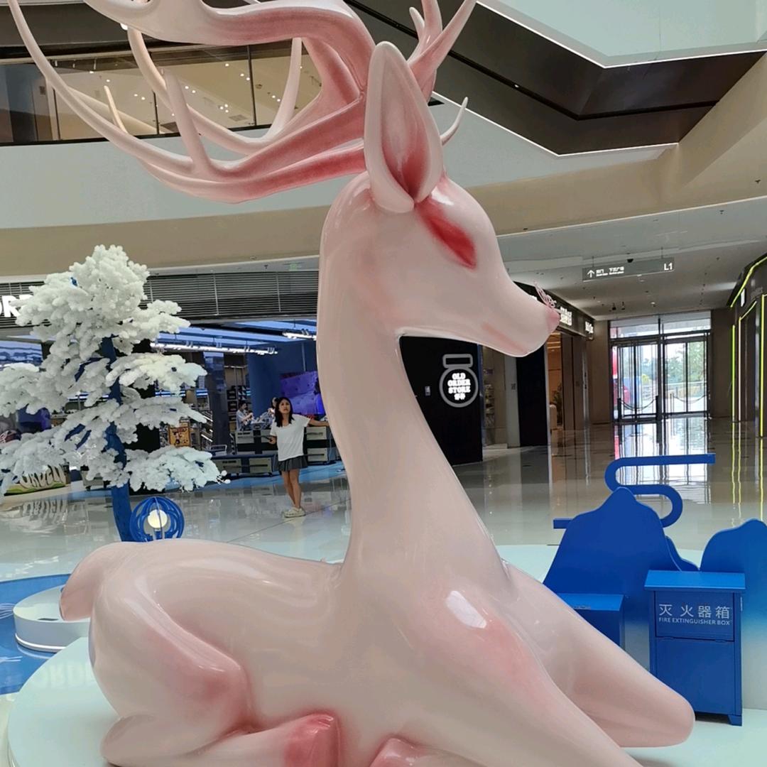 媛姿迎爽