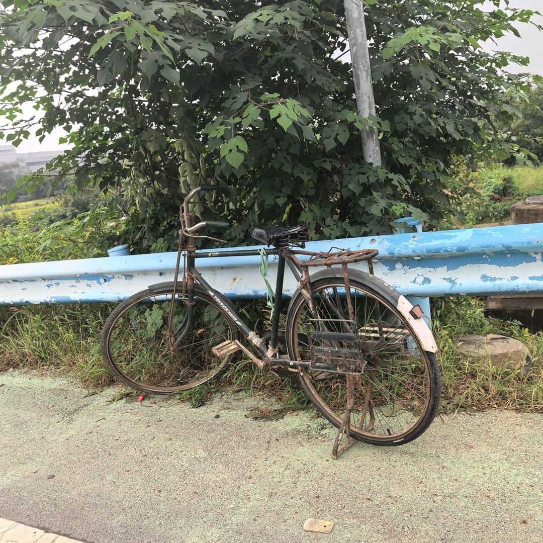 走 南闯北