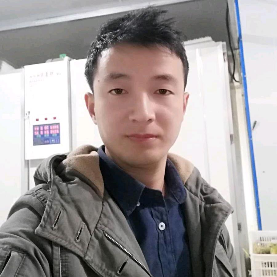 平凡的养鹅人
