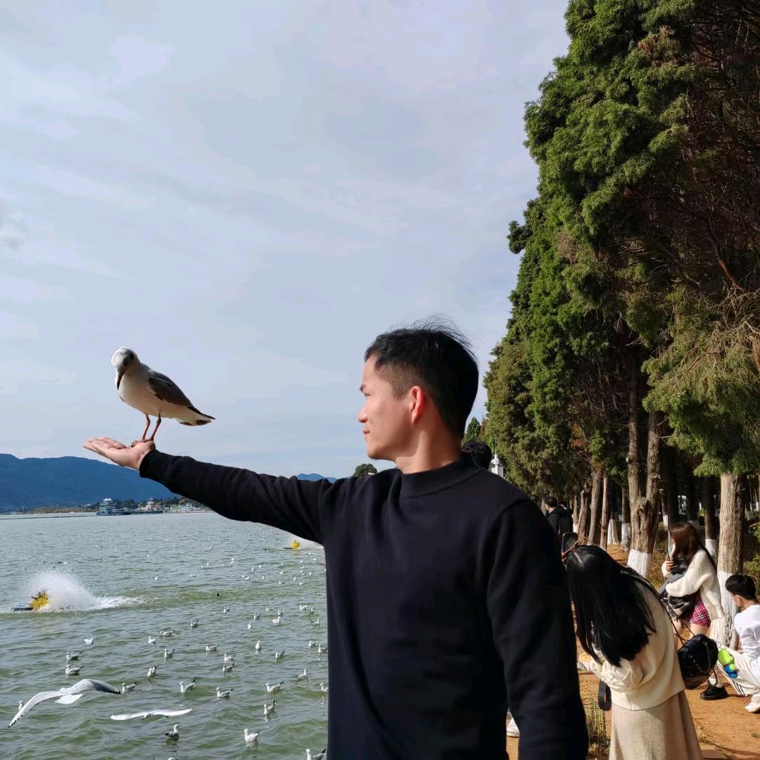 鼓悟岛