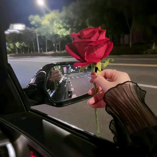 🌷岁月静好🌷