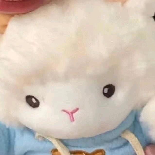 龙眼.