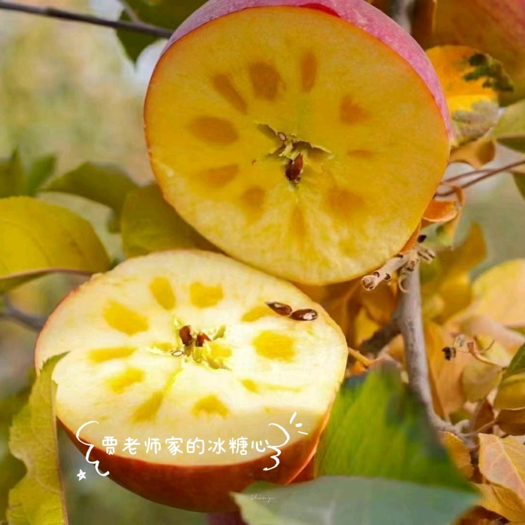 西贝生鲜精选铺