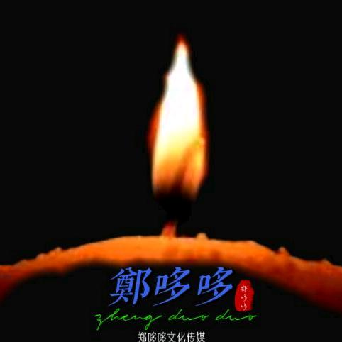 郑哆哆