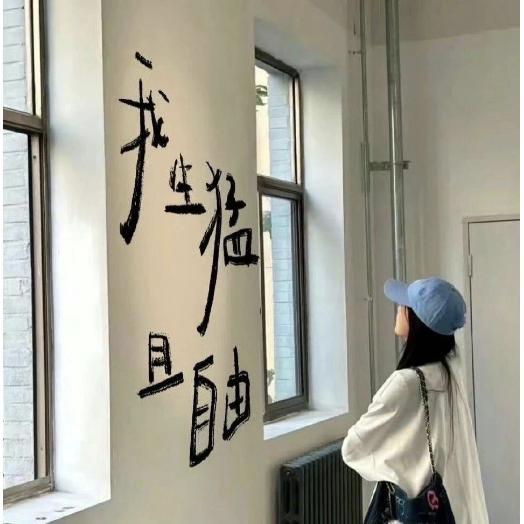 小盆盆儿🎤