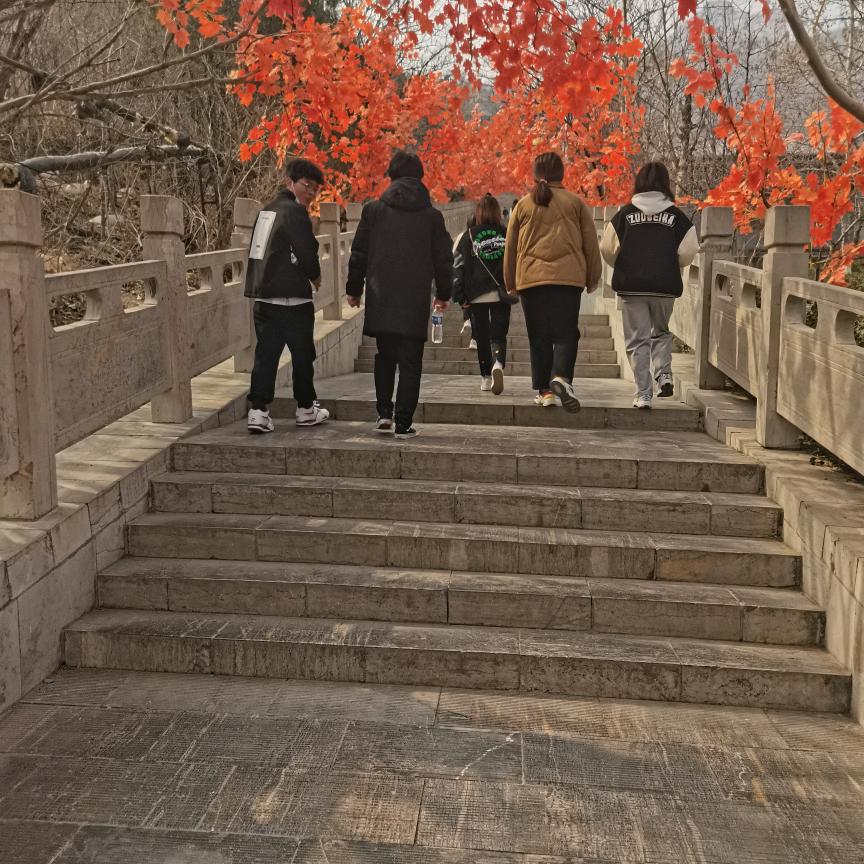 会飞的鱼