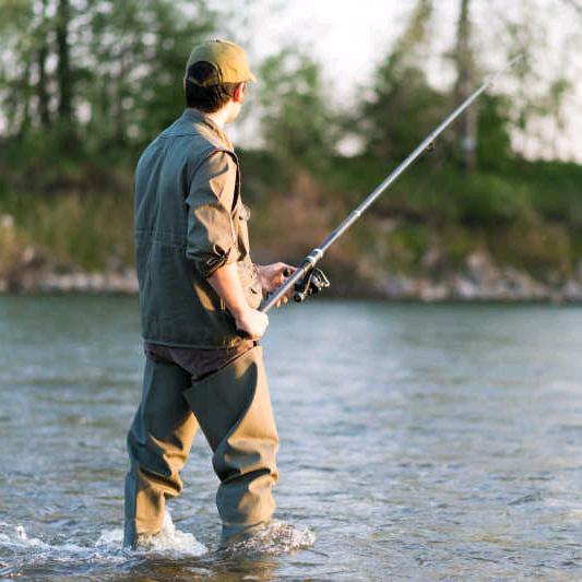 ✨✨✨厨子爱钓鱼