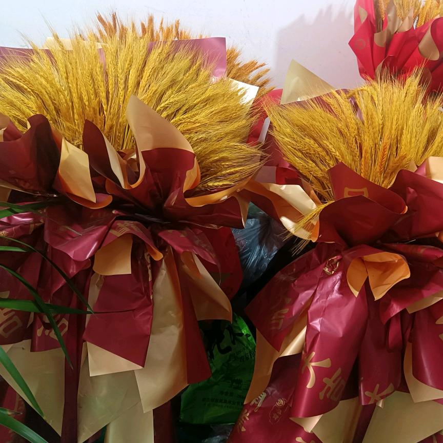 富贵财子潇洒哥