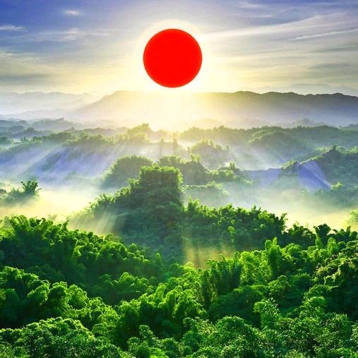 华姐(手机摄影)