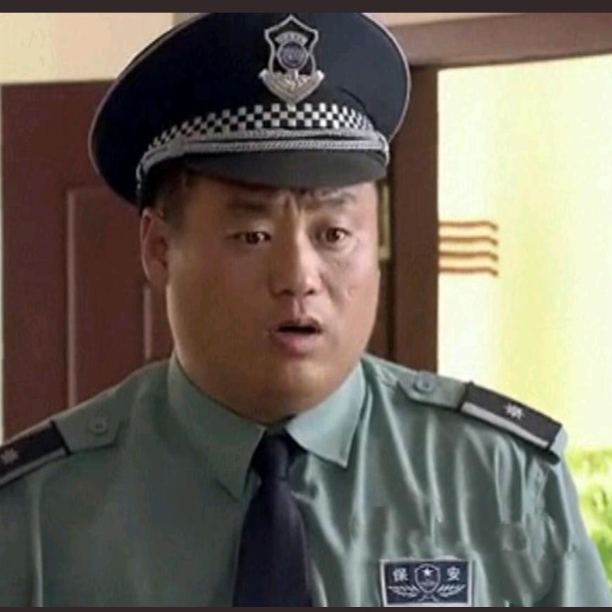 保安队长宋晓峰🌙