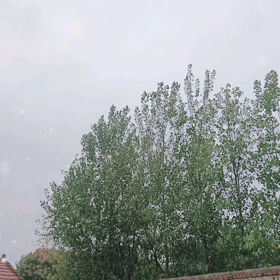 谢云