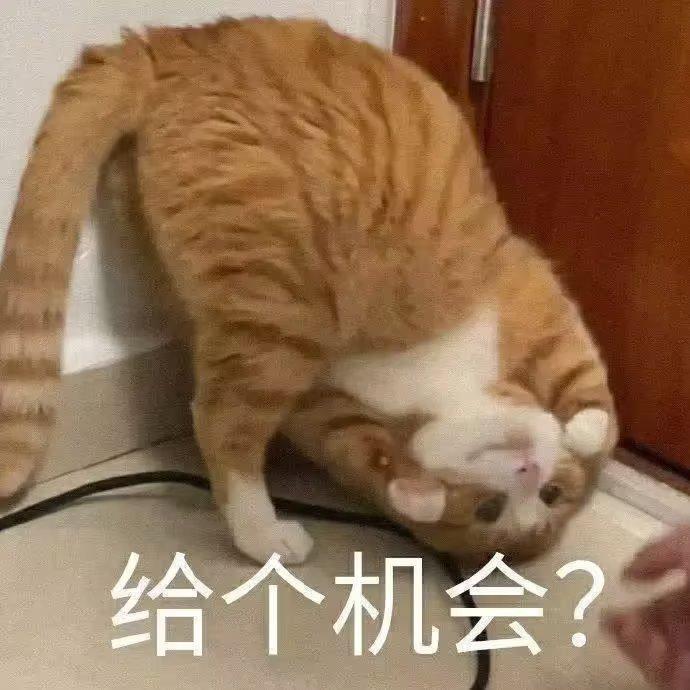 喔呦大木木
