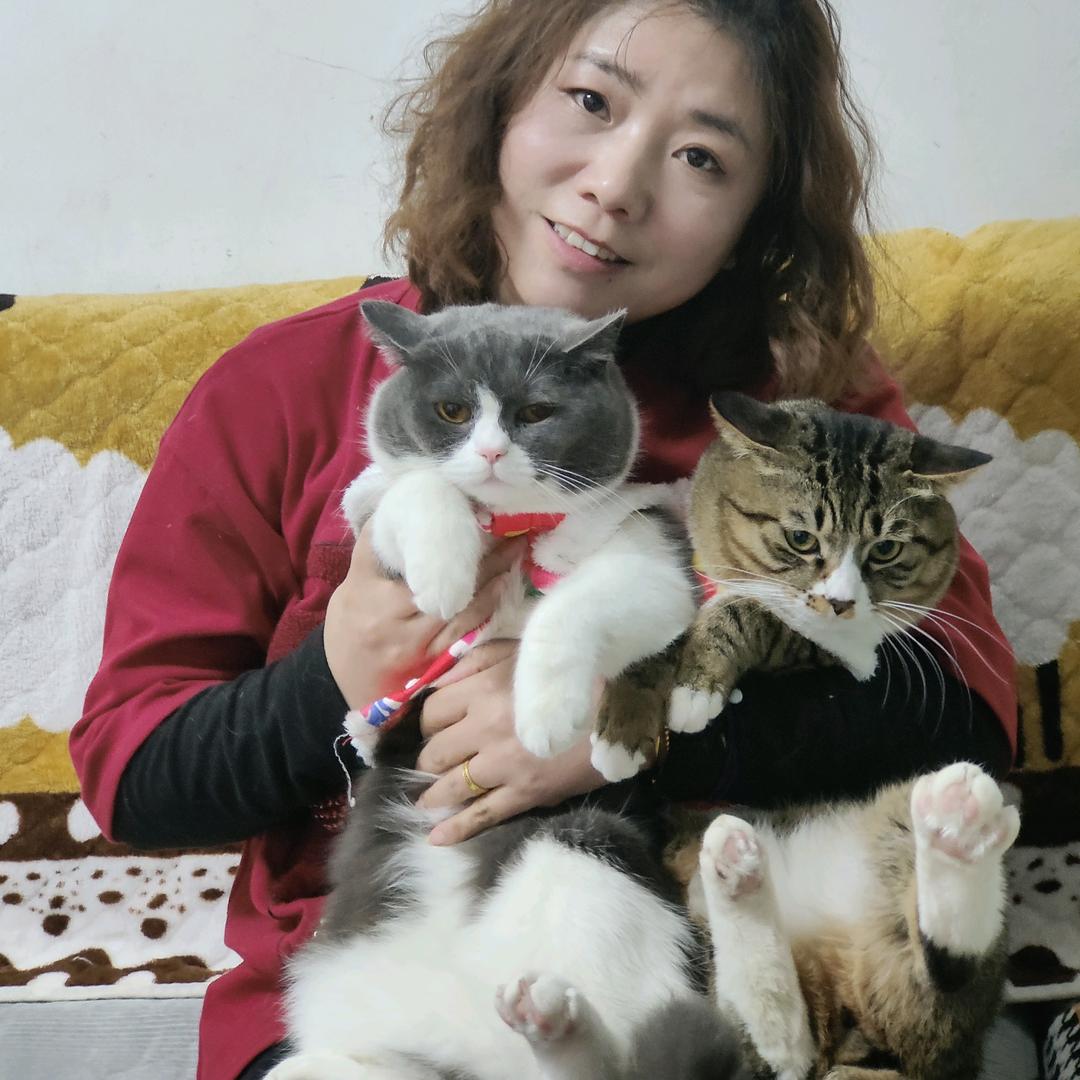 大娟༺
