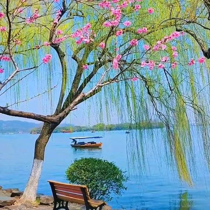 林素芳