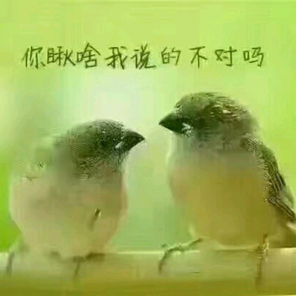后来的后来