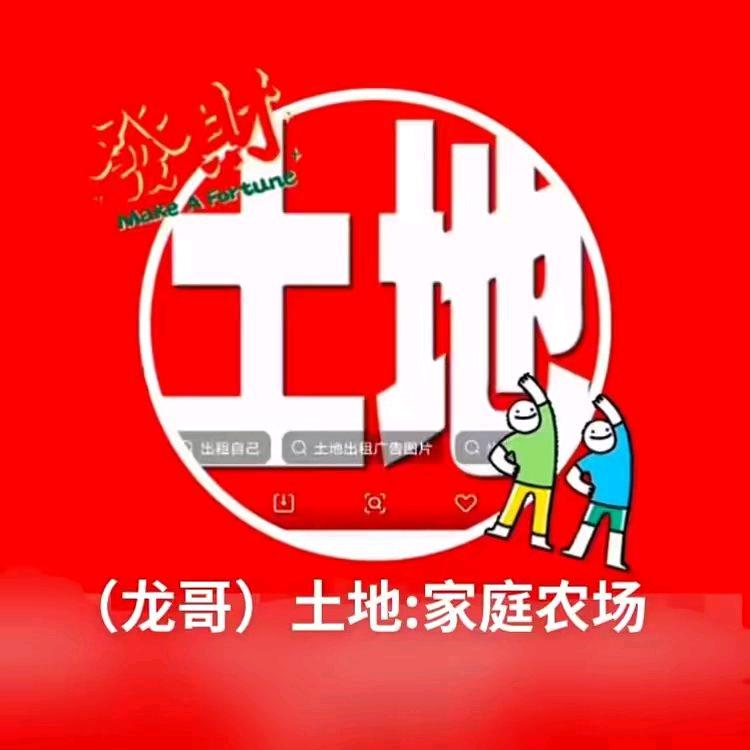 龙哥，土地流转 出租（新农人）