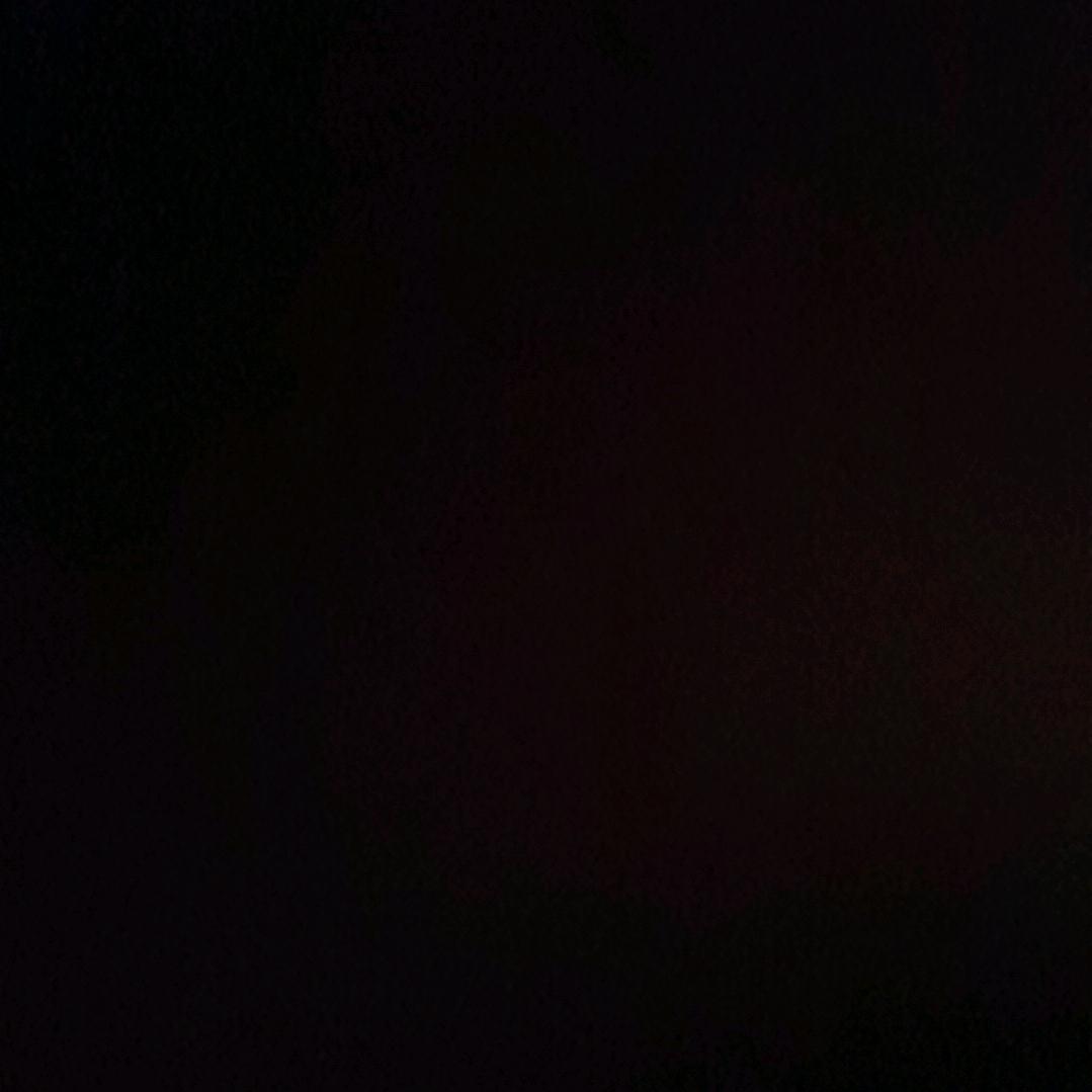 姨