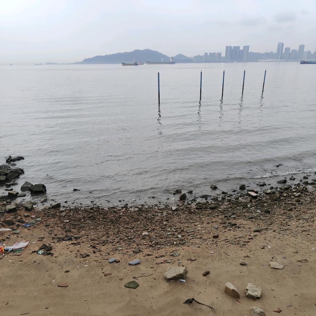 爱钓鱼的小老弟