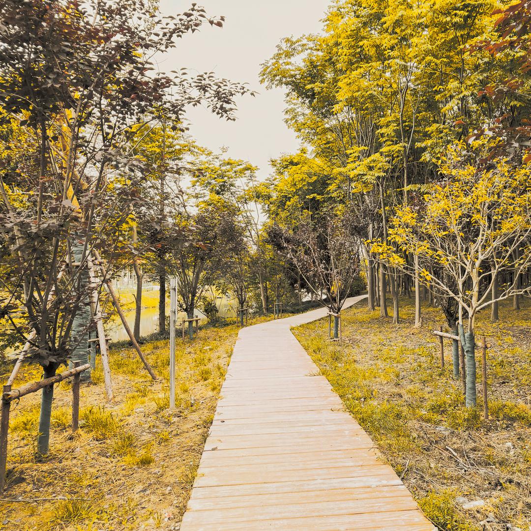 唔二吃榴莲