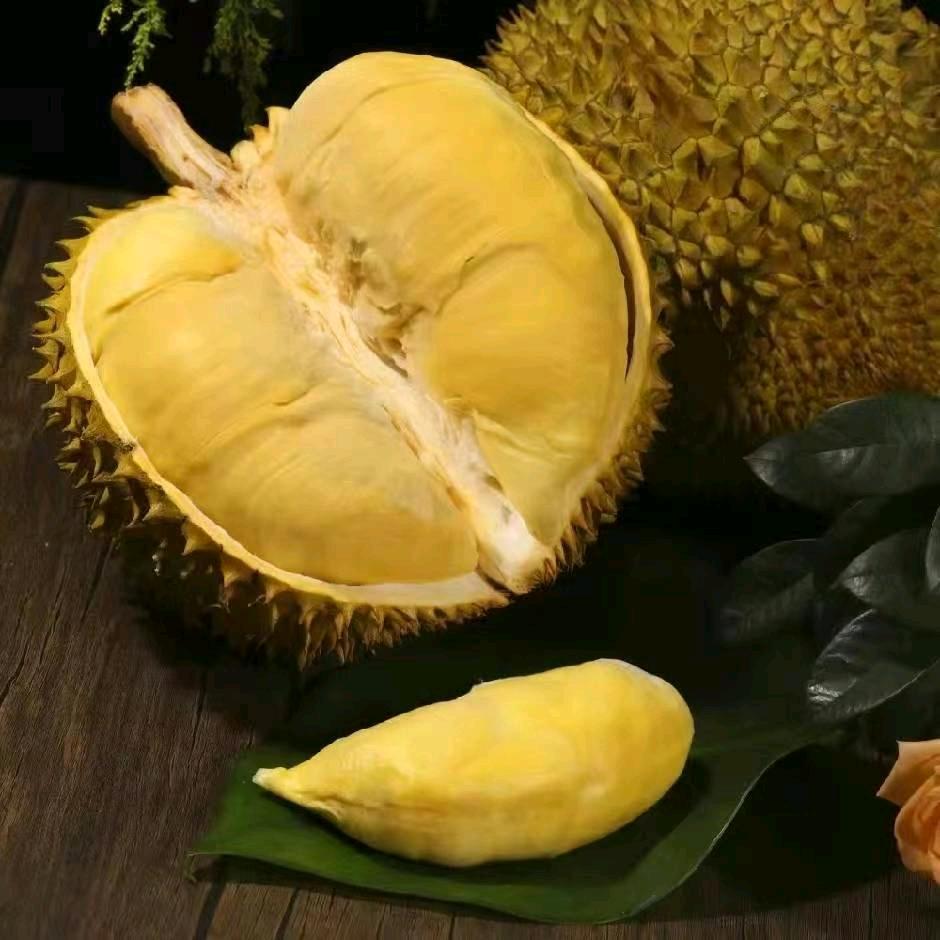 榴莲香香小时达