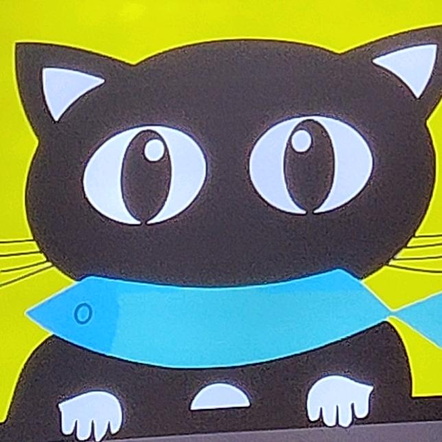 笨猫小黄鱼🐟