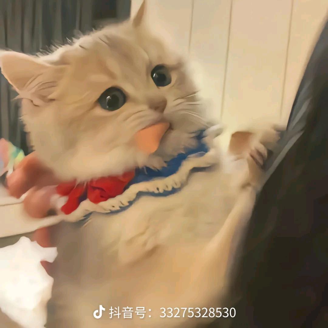 ^维C吃不胖🍋”